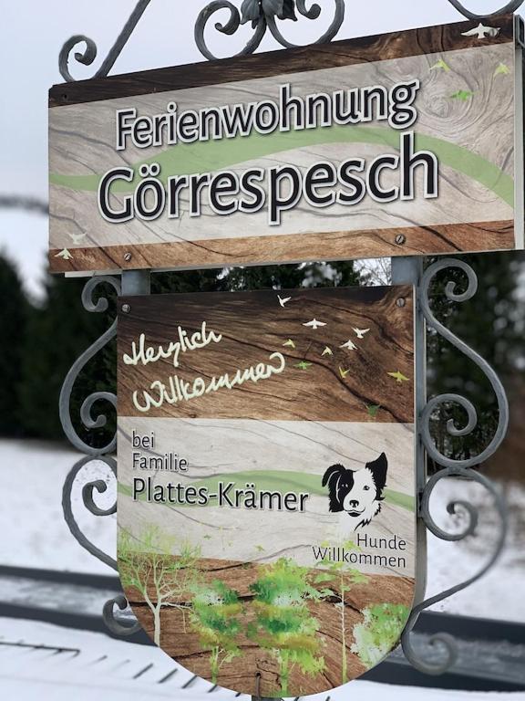 Hof Goerrespesch-Ferien Im Herzen Der Schneifel Schlausenbach Экстерьер фото